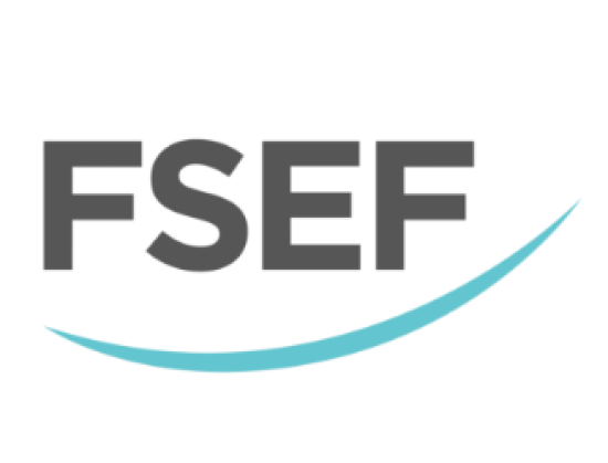 FSEF logo